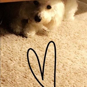 Meet your Posher, Angelina